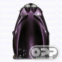  MOTOTECK UNDERTAIL Suzuki GSX 1300R 95-05 image