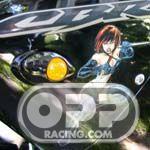 Gregg's Customs Flushmount Turn Signals - Honda CBR600RR 2003-2006 & CBR600 F4i 2001-2006 image