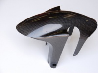 LighTech Carbon Front Fender - CARA3010