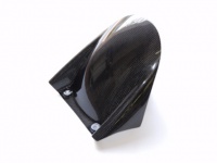 LighTech Carbon Rear Fender - CARA3020