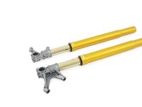 Ohlins FGR 250 Front Forks - FGR 252